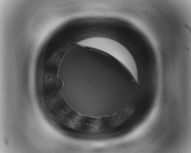 X0000099500143200805151440