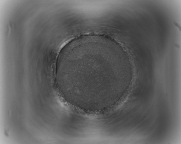 X0000099500144200805151440