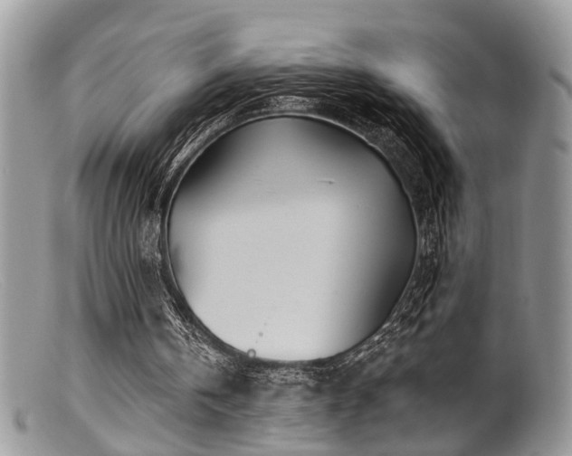 X0000099500146200805151439