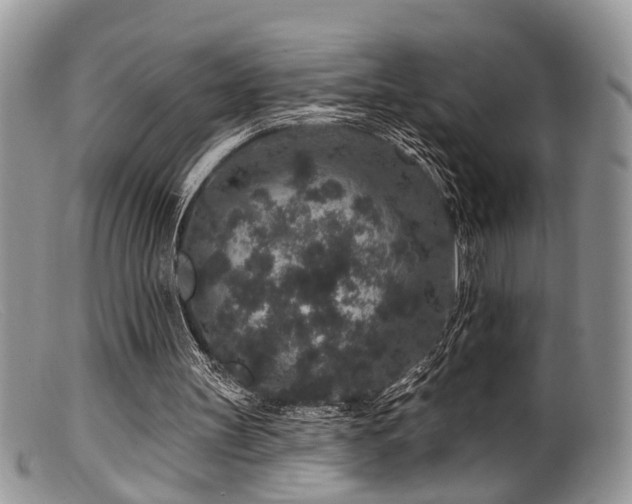 X0000099500147200805151439