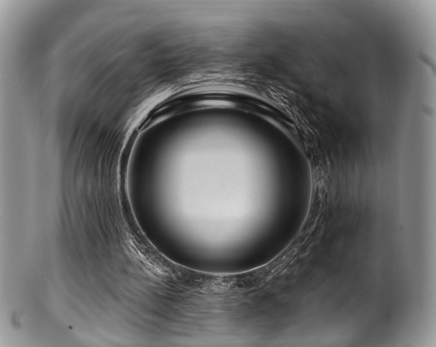 X0000099500148200805151439