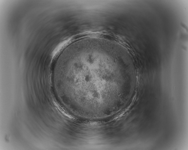 X0000099500149200805151439
