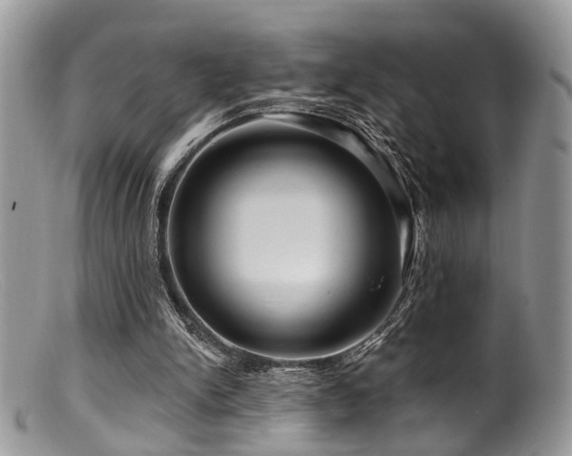 X0000099500150200805151439