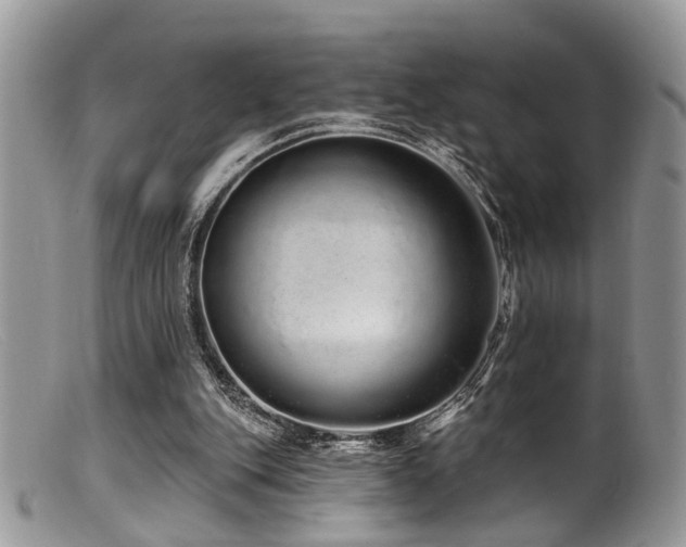 X0000099500151200805151439