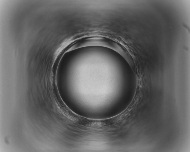 X0000099500152200805151439