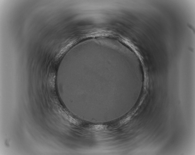 X0000099500153200805151439