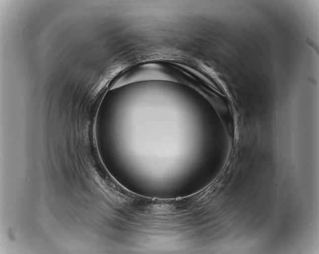 X0000099500154200805151439