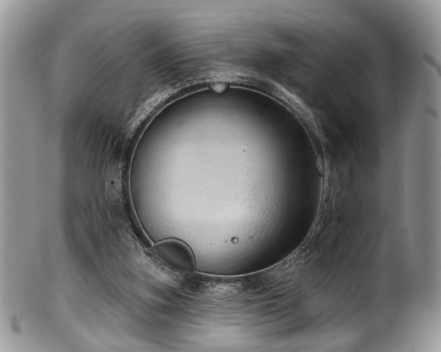 X0000099500155200805151439