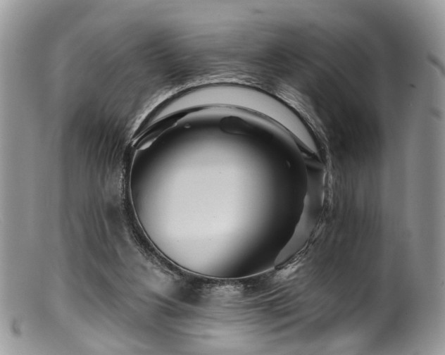 X0000099500156200805151439