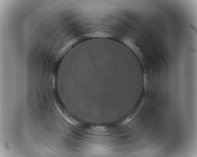X0000099500157200805151440
