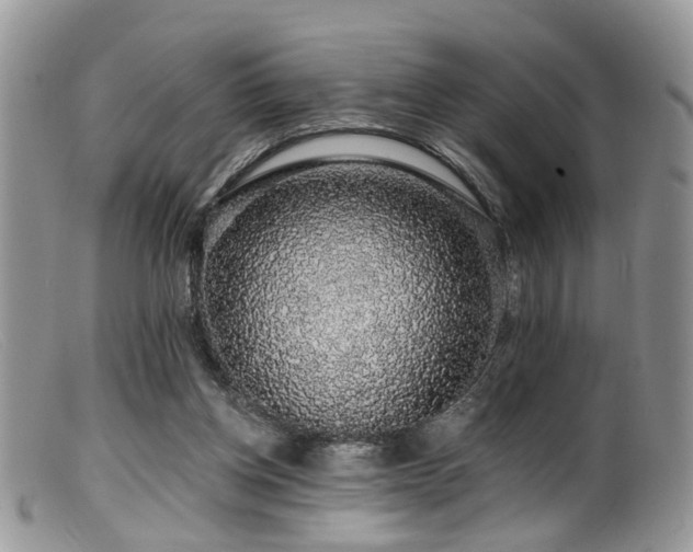 X0000099500158200805151440