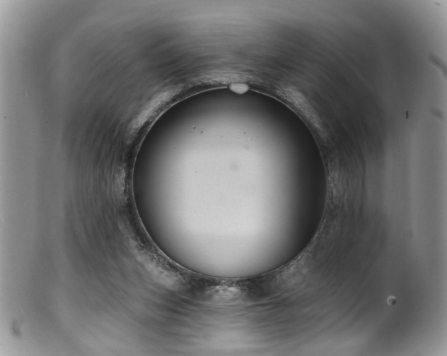 X0000099500159200805151440