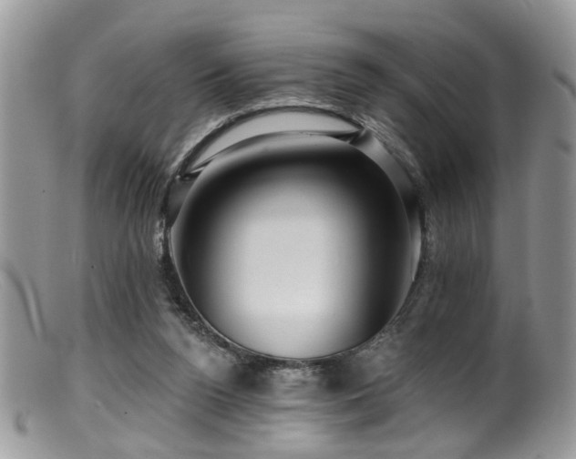 X0000099500160200805151440