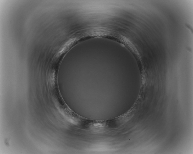X0000099500163200805151440