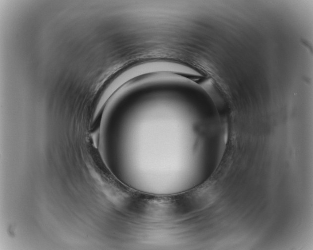 X0000099500164200805151440