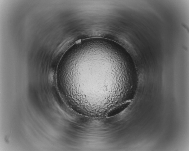 X0000099500166200805151440