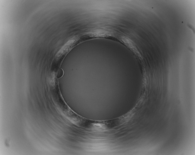X0000099500167200805151440