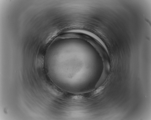 X0000099500168200805151440