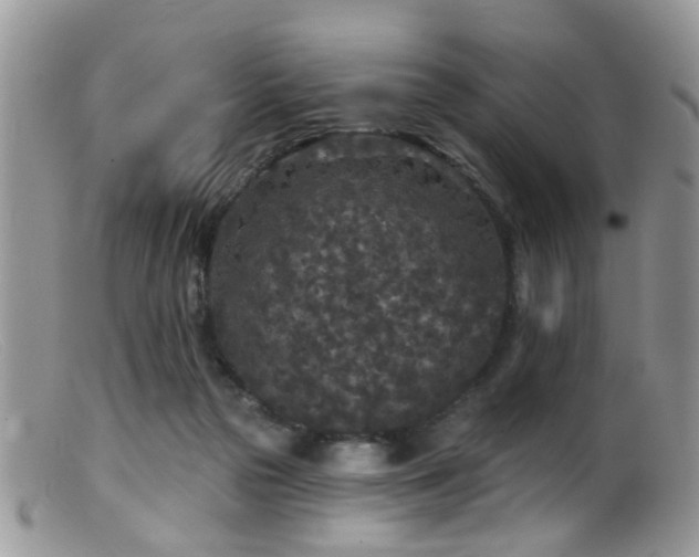X0000099500169200805151440