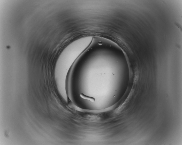 X0000099500170200805151440