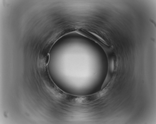 X0000099500172200805151440