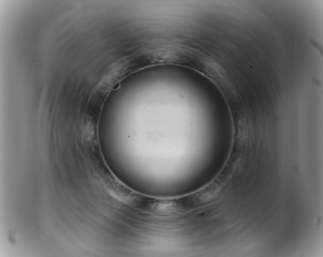 X0000099500173200805151440