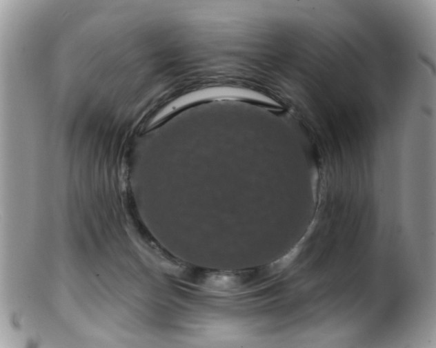 X0000099500174200805151440
