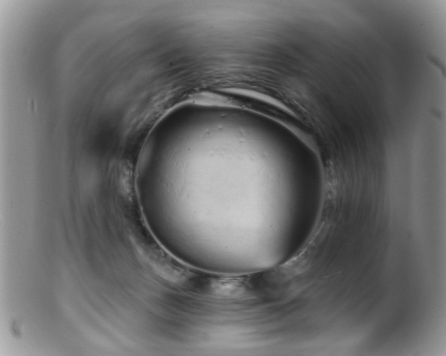 X0000099500175200805151440
