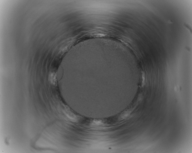 X0000099500177200805151440
