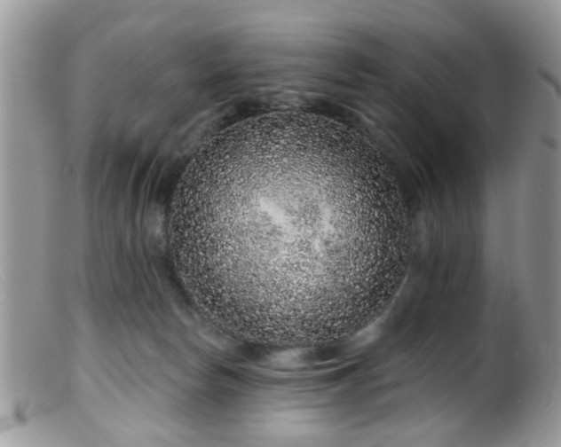 X0000099500178200805151440