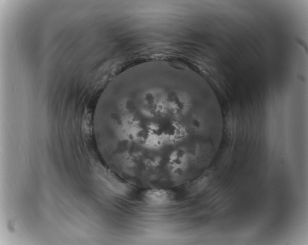 X0000099500181200805151440