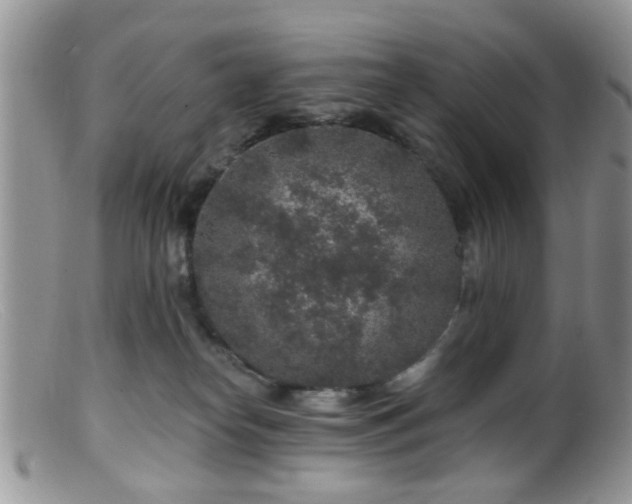 X0000099500182200805151440