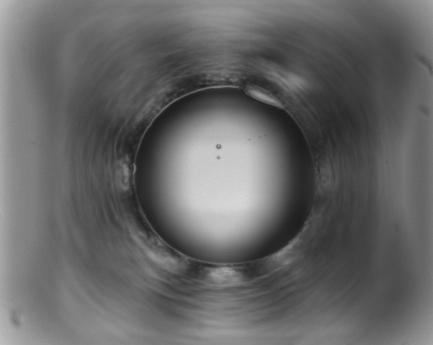 X0000099500183200805151440