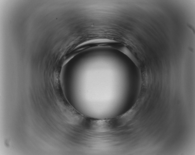 X0000099500184200805151440