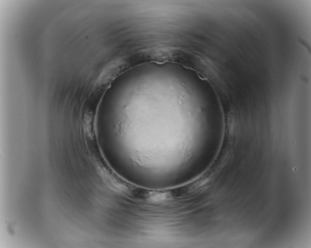 X0000099500185200805151440