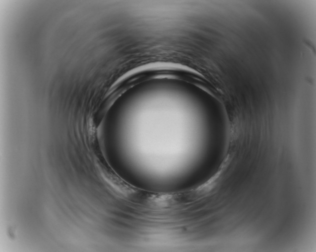 X0000099500186200805151440