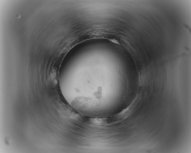 X0000099500187200805151440