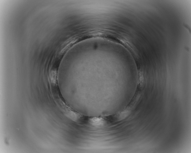 X0000099500189200805151440
