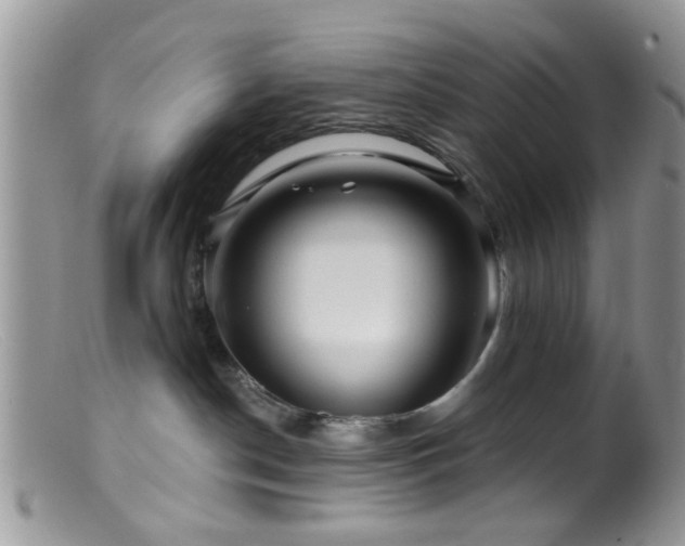 X0000099500190200805151440