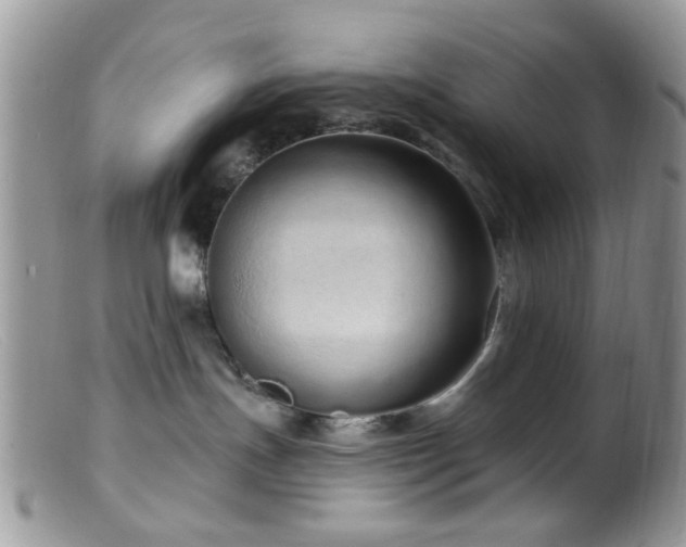 X0000099500191200805151440