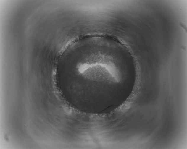 X0000099500192200805151440