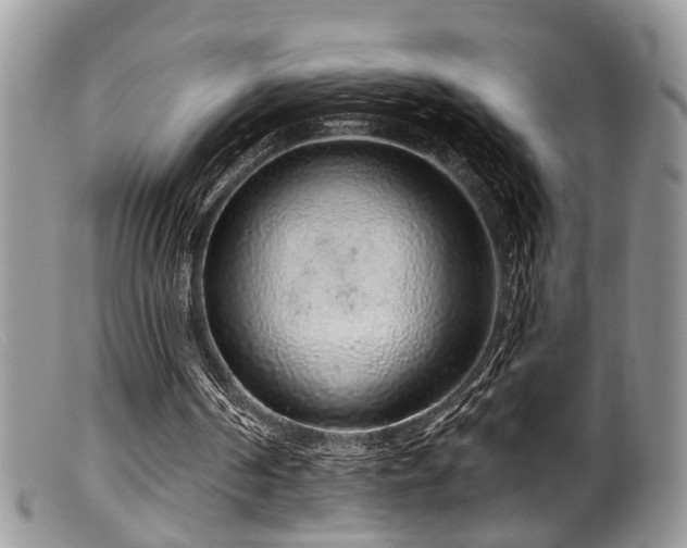 X0000099500194200805151439