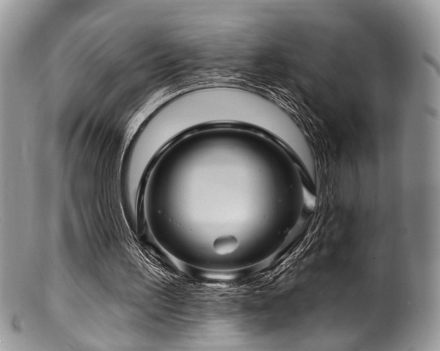 X0000099500195200805151439