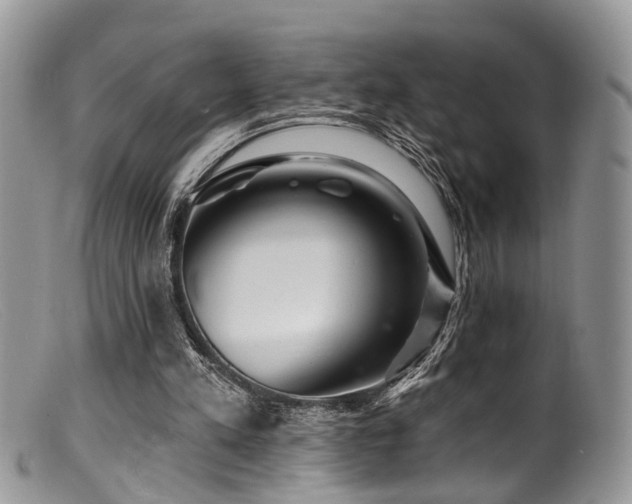 X0000099500197200805151439