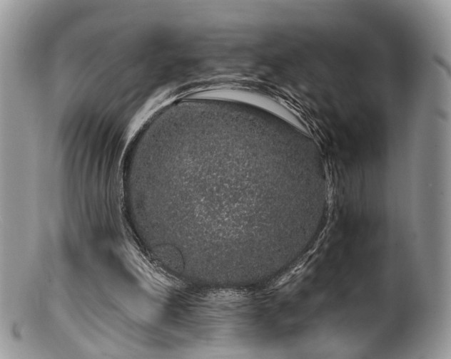 X0000099500198200805151439
