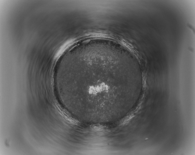 X0000099500199200805151439