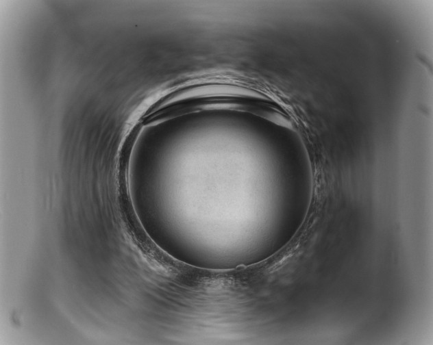 X0000099500200200805151439