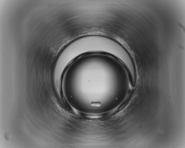 X0000099500201200805151439