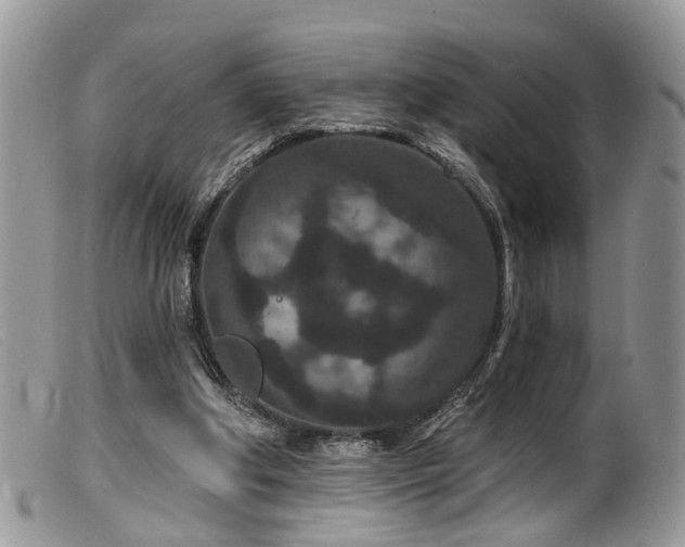X0000099500202200805151439