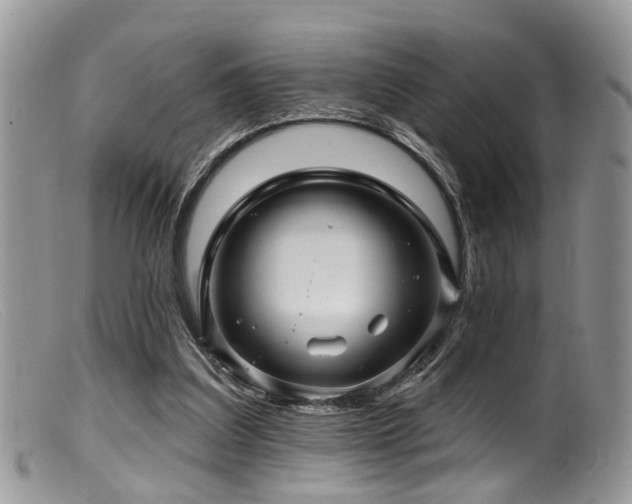 X0000099500203200805151439